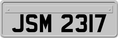 JSM2317