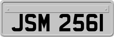 JSM2561