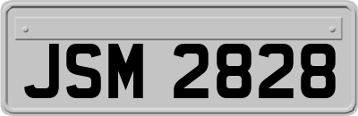 JSM2828