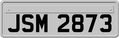 JSM2873