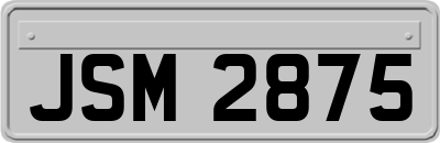JSM2875
