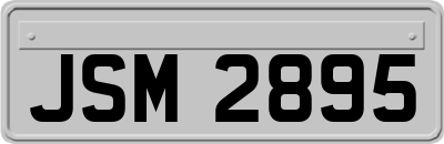 JSM2895
