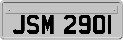 JSM2901