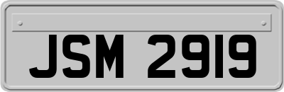 JSM2919