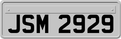 JSM2929