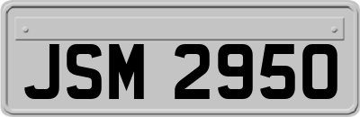 JSM2950