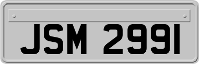 JSM2991