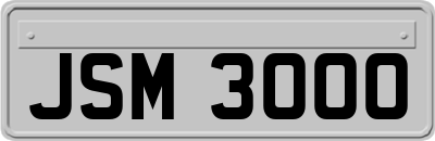 JSM3000