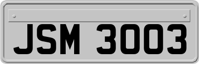 JSM3003