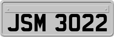 JSM3022