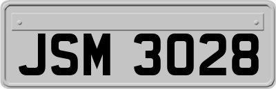 JSM3028