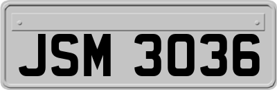JSM3036