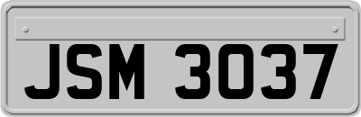 JSM3037