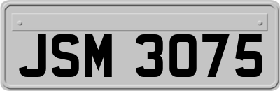 JSM3075