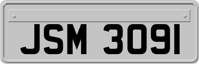 JSM3091
