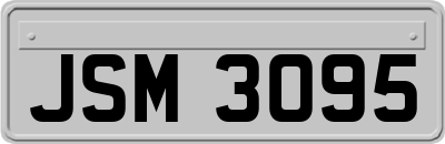 JSM3095