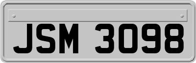 JSM3098