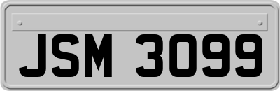 JSM3099