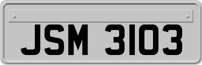 JSM3103
