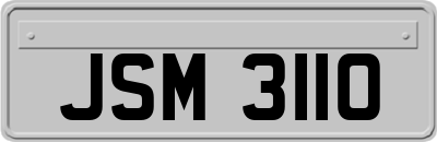 JSM3110