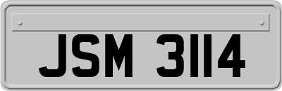 JSM3114