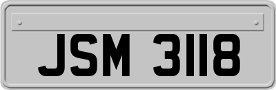 JSM3118