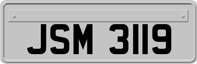 JSM3119