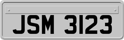 JSM3123