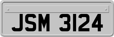 JSM3124