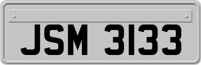 JSM3133