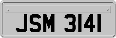 JSM3141