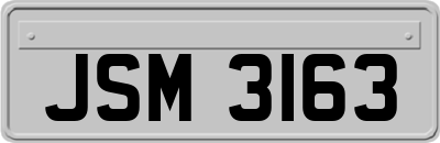 JSM3163