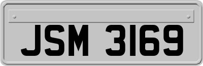 JSM3169