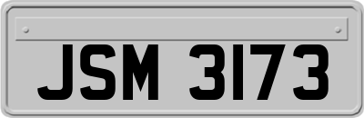 JSM3173
