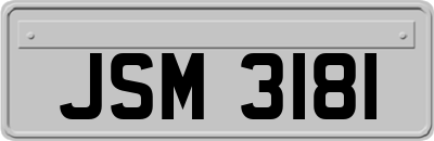 JSM3181