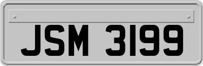 JSM3199