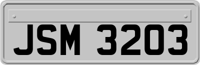 JSM3203