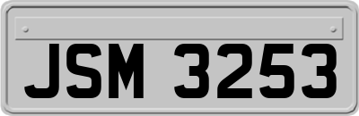 JSM3253