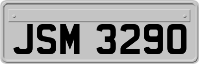 JSM3290