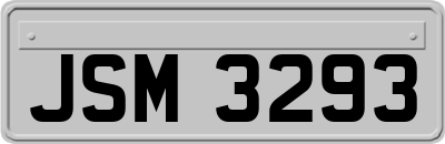 JSM3293