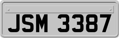 JSM3387