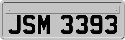 JSM3393