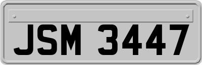 JSM3447