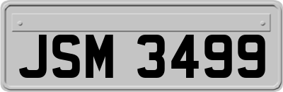 JSM3499