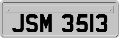JSM3513