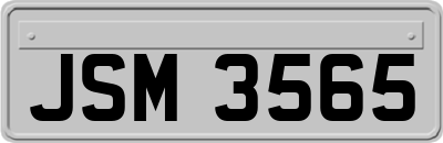 JSM3565