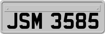 JSM3585