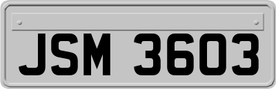 JSM3603