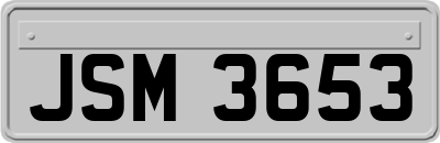 JSM3653