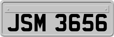 JSM3656